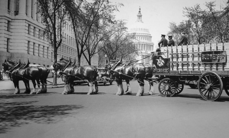 fd3cb0f1f05a3b17a69799cd32a01bcb (1)