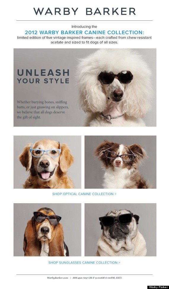 Warby-Barker-Canine-Sunglasses-April-Fools