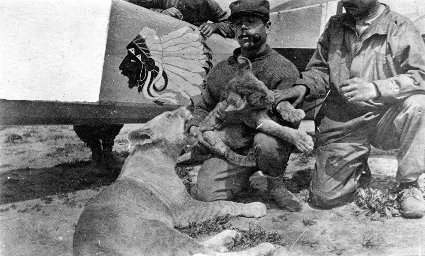 LtCol_William_Thaw_with_lion_cub_mascots_of_Lafayette_Escradrille_c1916