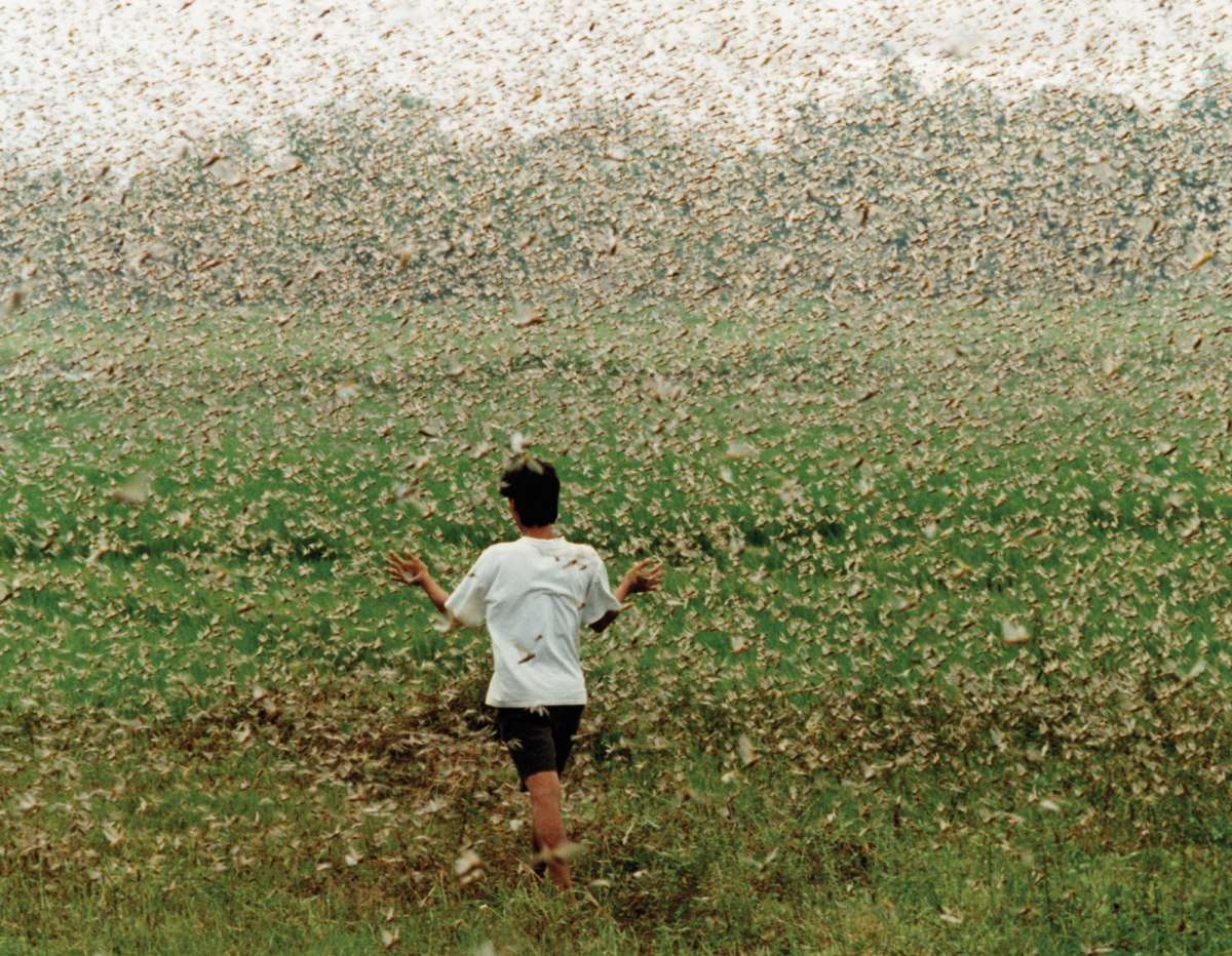 October 20, 1937 The&nbsp;Swarm