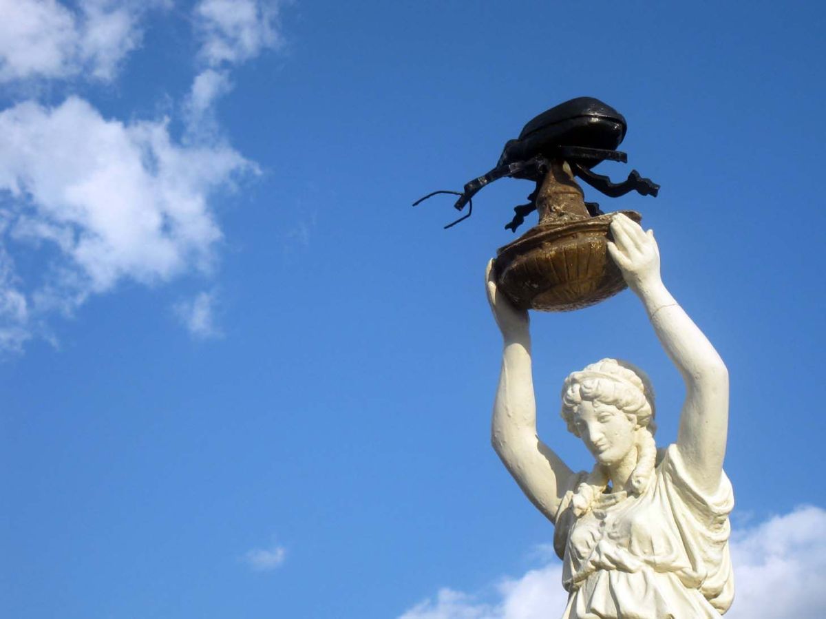 December 11, 1919  Monument, to a&nbsp;Bug