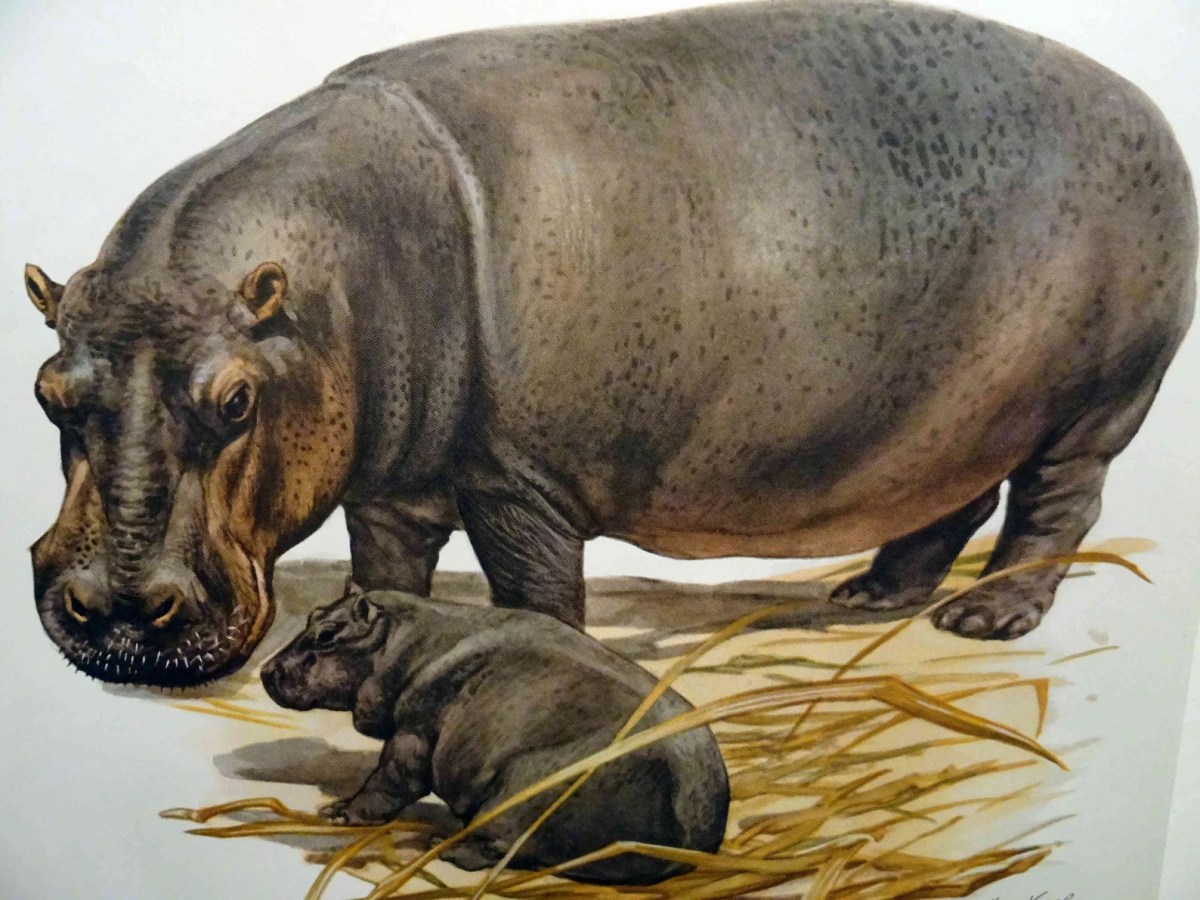 December 23, 1884 Lake&nbsp;Bacon